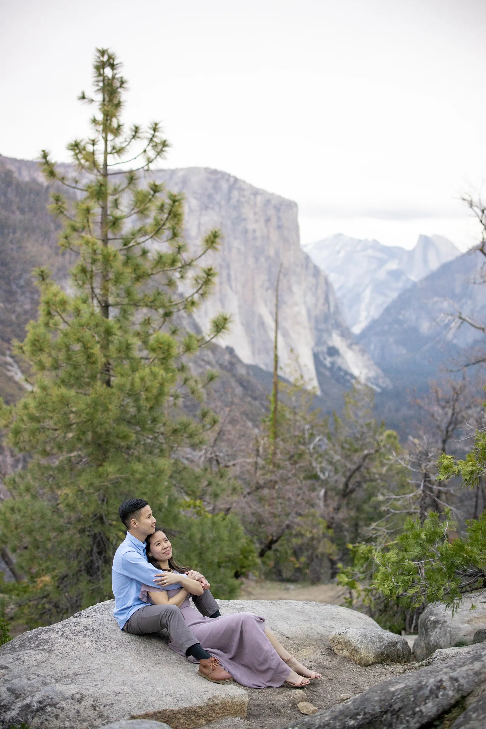 Couple sitting on a rock overlook beside a pine tree