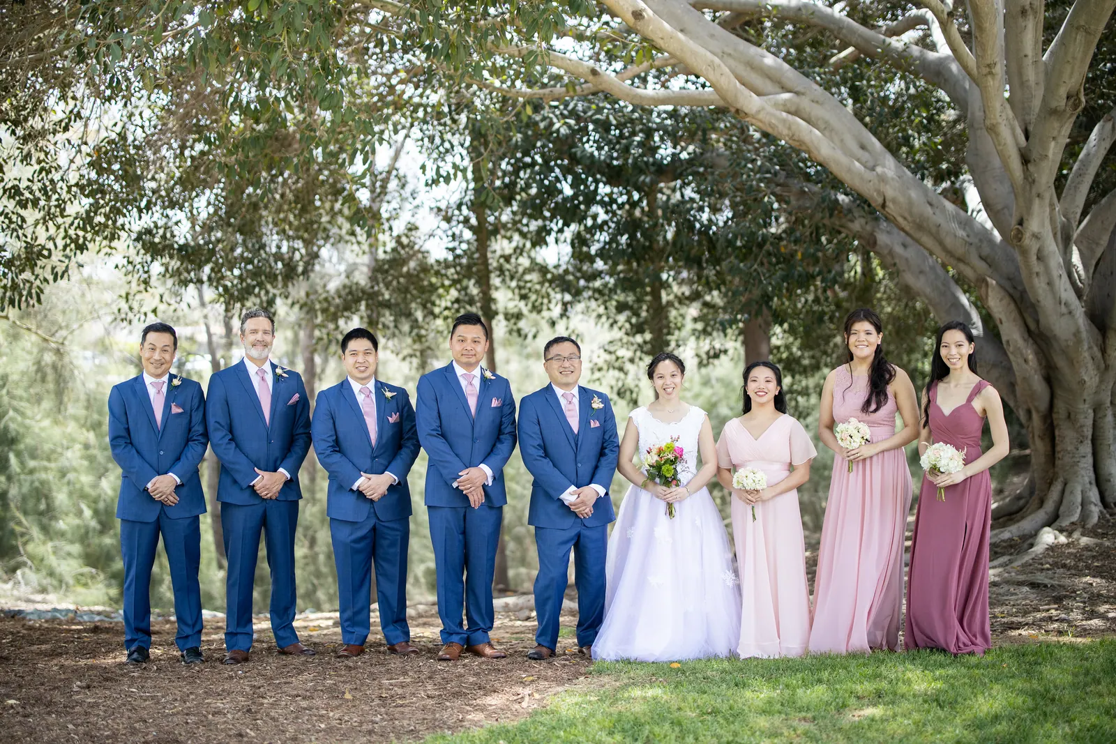 Wedding party in navy suits and blush dresses lined up on a lawn